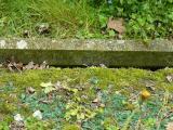 image of grave number 240921
